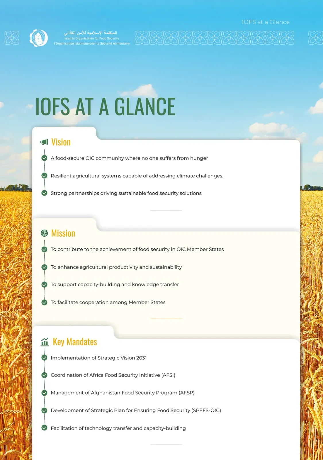 Разворот IOFS at a Glance: миссия и цели