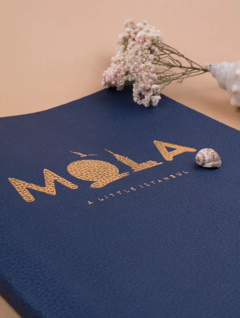 Меню ресторана MOLA